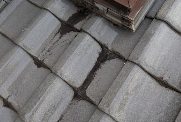 苔やカビが付着した瓦屋根の外観イメージ