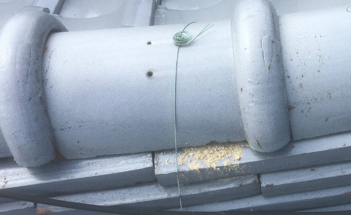 漆喰劣化を放置したことで棟内部まで傷んだ瓦屋根の状態