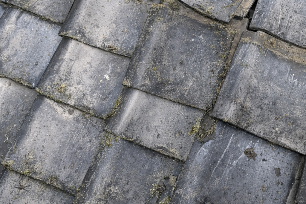 苔の付着とあわせて瓦のズレや歪みが見られる状態